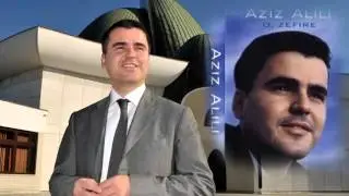 Hafiz Aziz Alili - Ej, Asici - (Audio 1999)