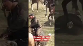 ШЕРАЛИ МЕССИДА