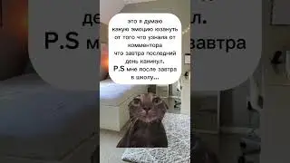 а какого числа вам в школу? 