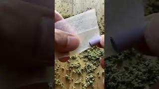 Green 69