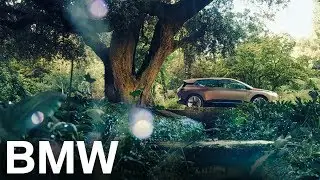 The BMW Vision iNEXT.