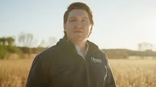 Harvest to Home - Missouri Soybeans