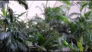 Tropical Islands Berlin