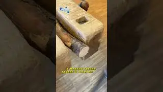 Умный рыбак 😳🙄