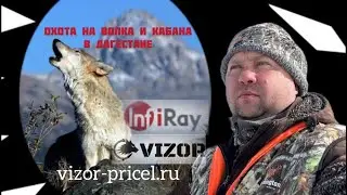 Охота на волка, кабана в Дагестане.