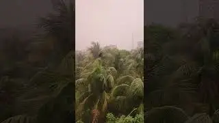 Heavy Monsoon rain in Cumilla