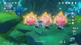 1 Luxurious 2 Exquisite Chests | Genshin Impact PS5