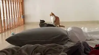 Starting as the bully but ended up getting his ass beat