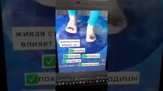 Живая стопа