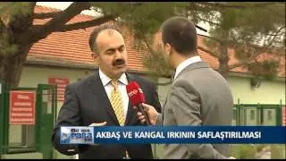 BU İŞTE PARA VAR   TİGEM Kopyası
