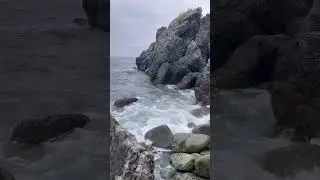 Морские просторы Колымы!