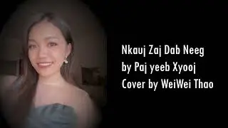 Nkauj zaj dab neeg - cover Karaoke (Girl)