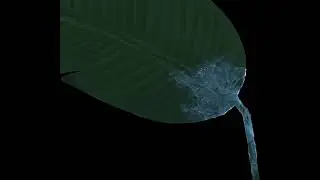Grow Frost | VFX
