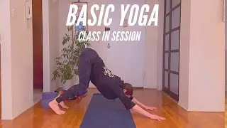 Basic Yoga | Class in Session