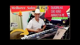SOLOS DE SÃO JOÃO / QUADRILHA  /ARRASTA PÉ  /FESTA JUNINA