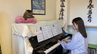 ラブレター　　YOASOBI                                ピアノ　〜猫と一緒〜