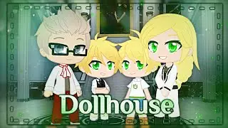 |•☘️Dollhouse•🐈‍⬛|🌿•клип•✨|🌱•Adrien Agreste•🐾|💚