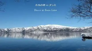 白鳥の湖 de ダンス