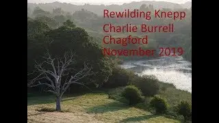 Rewilding Knepp, a talk by owner Charlie Burrell