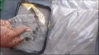 Desi Cow Dung Ash I  Cow Dung Vibhuti I Bhasma