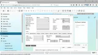 SAP Business One 9.2 - Linking User Defined Fields and System Entities