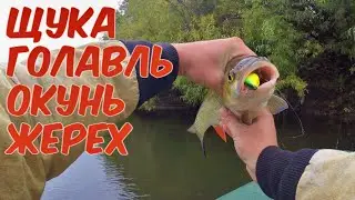 ОТЛИЧНАЯ рыбалка ОСЕНЬЮ | СЕНТЯБРЬ