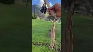 Hear a VERY RARE Deer Leg Bone Rattle, from HorseBear, owner of Drum Rattle Dance Sacred Arts.