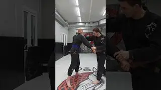 #bjj #mma #jiujitsu #бжж #грэпплинг