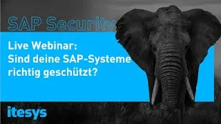 Webinar SAP Security: Sind deine SAP Systeme richtig geschützt? | itesys AG