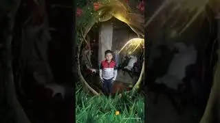 shushrut raj hello video🌹😘🇮🇳(4)