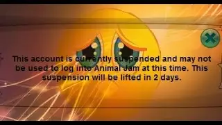 How to NOT get suspended