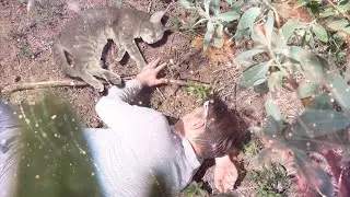 Ливень