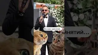 Коти діло говорять😸