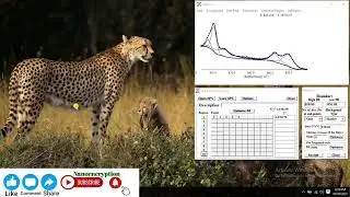 Deconvolution (Fitting) of the XPS Spectra with the help of XPSPEAK41 Software and Origin software