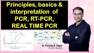 Principles, Basics & Interpretation  of PCR, RT-PCR, Real time PCR in COVID 19