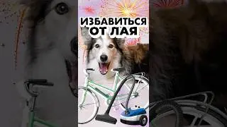 Разрешаю пожаловаться в комментариях, на что лает ваша собака!))