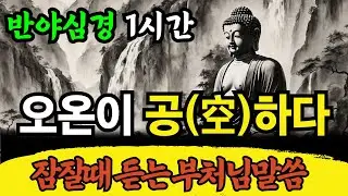 반야심경 | 잠잘때 듣는 부처님 말씀 | 색즉시공 공즉시색 (舍利子 色不異空 空不異色) | 고집멸도, 지혜와 얻음 없다 (無苦集滅道 無智亦無得) | 불교명언 | 금강경