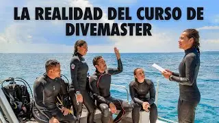 La Realidad De Hacer El Curso De DiveMaster Internacional