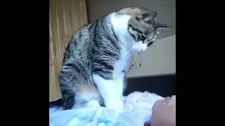 Будильник