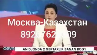 Андижонда 2 га банан боги!!!