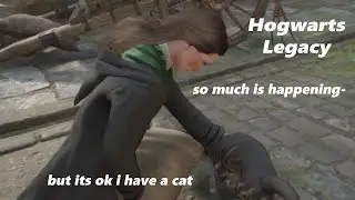 Hogwarts Legacy #2 (Theres something suspicious going on down in hogswarts)