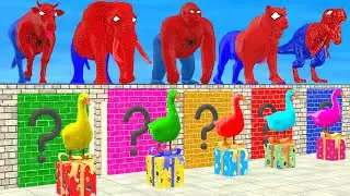 Spider Man 5 Giant Duck Cow Elephant Gorilla Tiger Dinosaur Guess The Right Wall ESCAPE ROOM CHALLEN