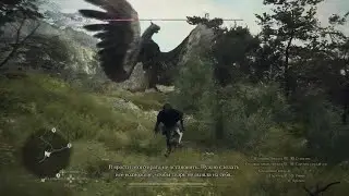 Dragon's Dogma 2 битва с монстрами