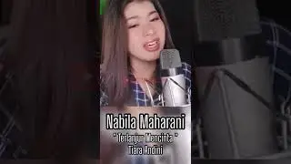 Terlanjur mencinta