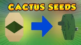 HOW TO GET CACTUS SEEDS FAST ON NO ISLANDS | SKY BLOCK | ROBLOX