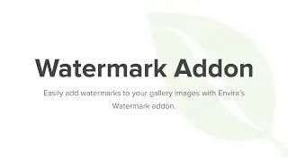 Envira Gallery Watermark Addon