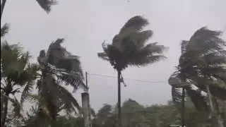 Hurricane Beryl Smashes House in Jamaica 🇯🇲 |OMG 😱