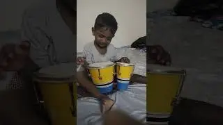 Bongos Levi