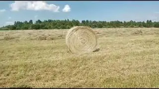 Заготовка сена: Прессование сена в рулоны