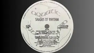 Shades Of Rhythm – Musical Freedom (Original Version).
